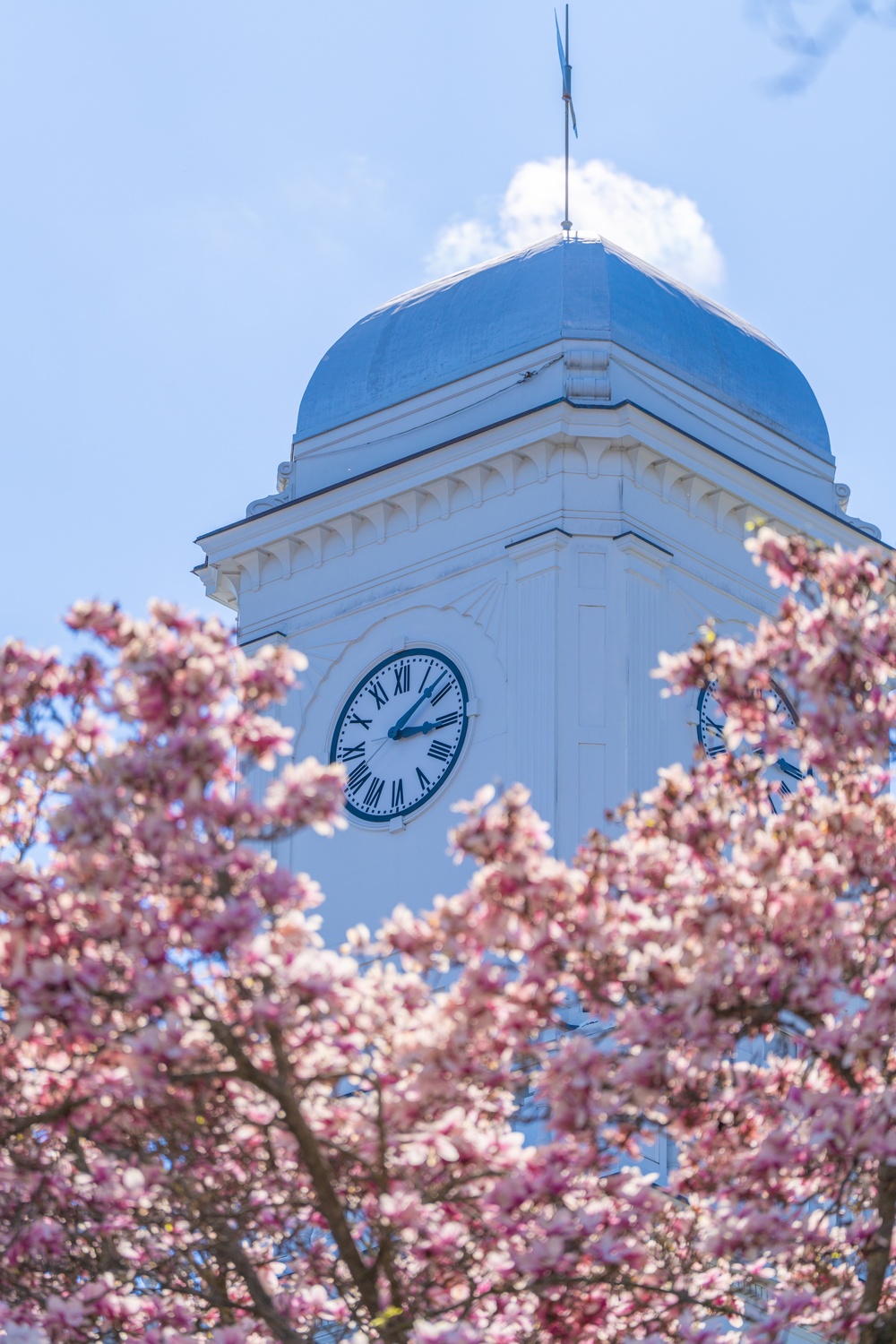 Springtime at the Coast Guard Academy