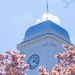 Springtime at the Coast Guard Academy