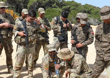 LEAP team’s skills are indispensable in massive U.S. Africa Command exercise