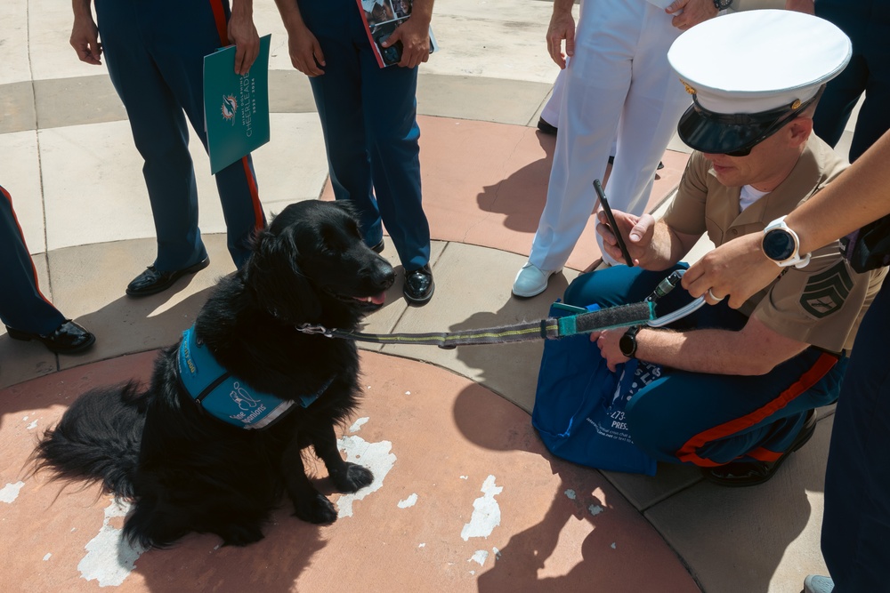 A U.S. Marine Corps service member takes a photo of the facility dog at the Miami VA Medical Center during Fleet Week Miami 2024