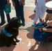 A U.S. Marine Corps service member takes a photo of the facility dog at the Miami VA Medical Center during Fleet Week Miami 2024