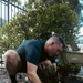 A U.S. Navy Sailor plants a croton at the Miami VA Medical Center during Fleet Week Miami 2024