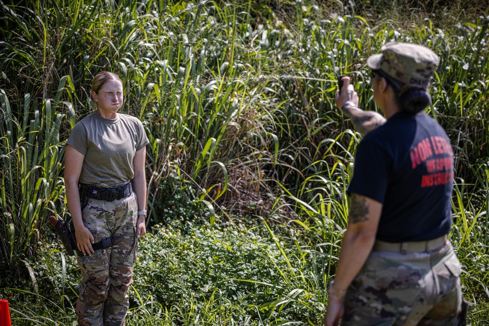 Military Police LEC Training