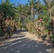 Balikatan 24: 2nd Battalion, 27th Infantry Regiment, 3rd Infantry Brigade Combat Team, 25th Infantry Division conducts reconnaissance training with 1st Battalion, The Royal Australian Regiment