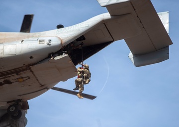 U.S., joint partners strengthen bonds through Exercise Bull Shark