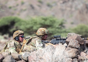 U.S., joint partners strengthen bonds through Exercise Bull Shark