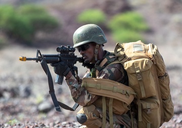 U.S., joint partners strengthen bonds through Exercise Bull Shark