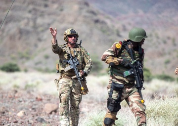 U.S., joint partners strengthen bonds through Exercise Bull Shark