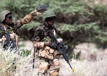 U.S., joint partners strengthen bonds through Exercise Bull Shark