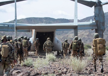 U.S., joint partners strengthen bonds through Exercise Bull Shark