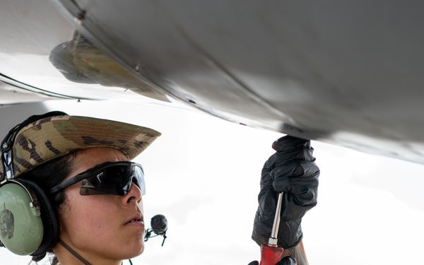Maintainers in the sun