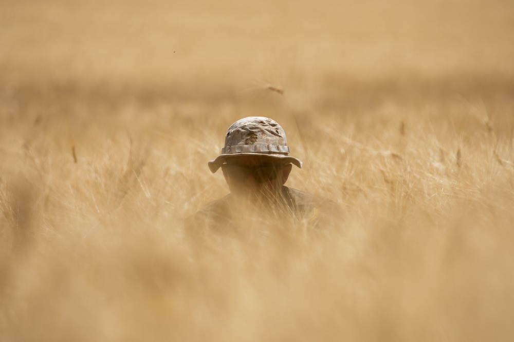 US, Tunisian forces conduct explosive ordnance disposal (EOD) situational tactical exercise (STX) lanes at African Lion 2024