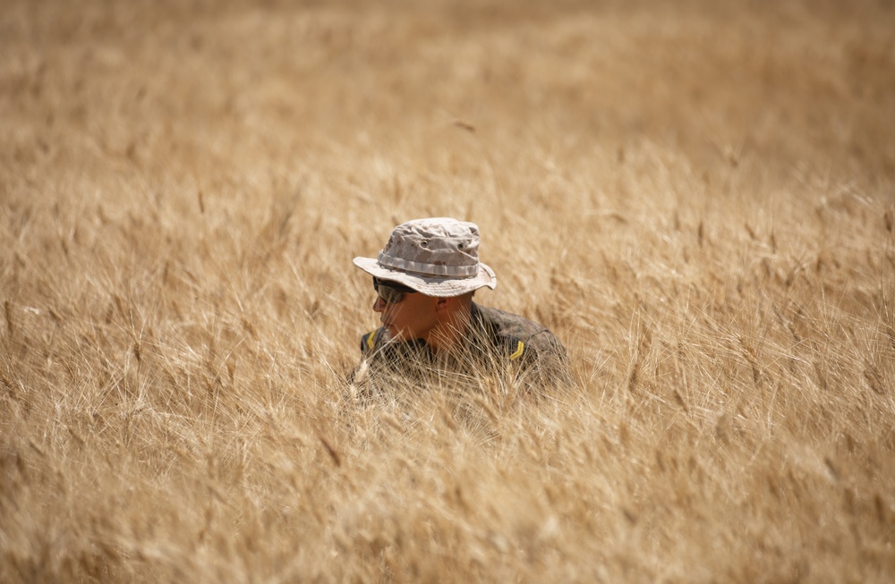 US, Tunisian forces conduct explosive ordnance disposal (EOD) situational tactical exercise (STX) lanes at African Lion 2024