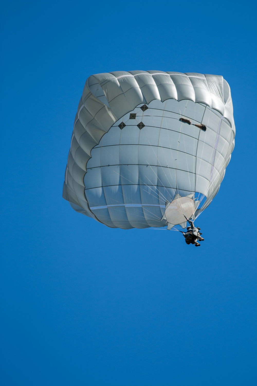 Historic Airborne Exercise: Over 600 Troops from U.S. and Allies Parachute into Sweden in NATO's Largest-Ever Joint Forcible Entry