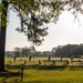 3rd Division Sustainment Brigade holds golf scramble at Taylor's Creek Golf Course