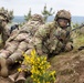 1st Battalion, 187th Infantry Regiment Participates in CALFEX