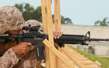 Mike Company Supported Live Fire