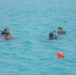 Dive training enhances the skills of allied and partner nations during TRADEWINDS 24