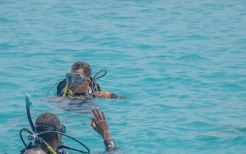 Dive training enhances the skills of allied and partner nations during TRADEWINDS 24