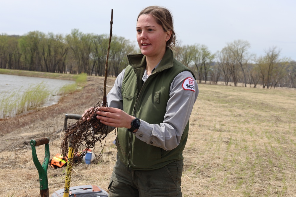 USACE celebrates Earth Day with tree planting at restoration project