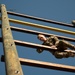 2024 Region VII Best Warrior Competition- Obstacle Course