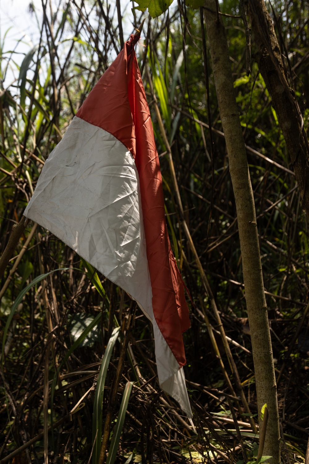 Members of Indonesian Korps Marinir, 1st Recon Bn. Marines conduct live-fire range