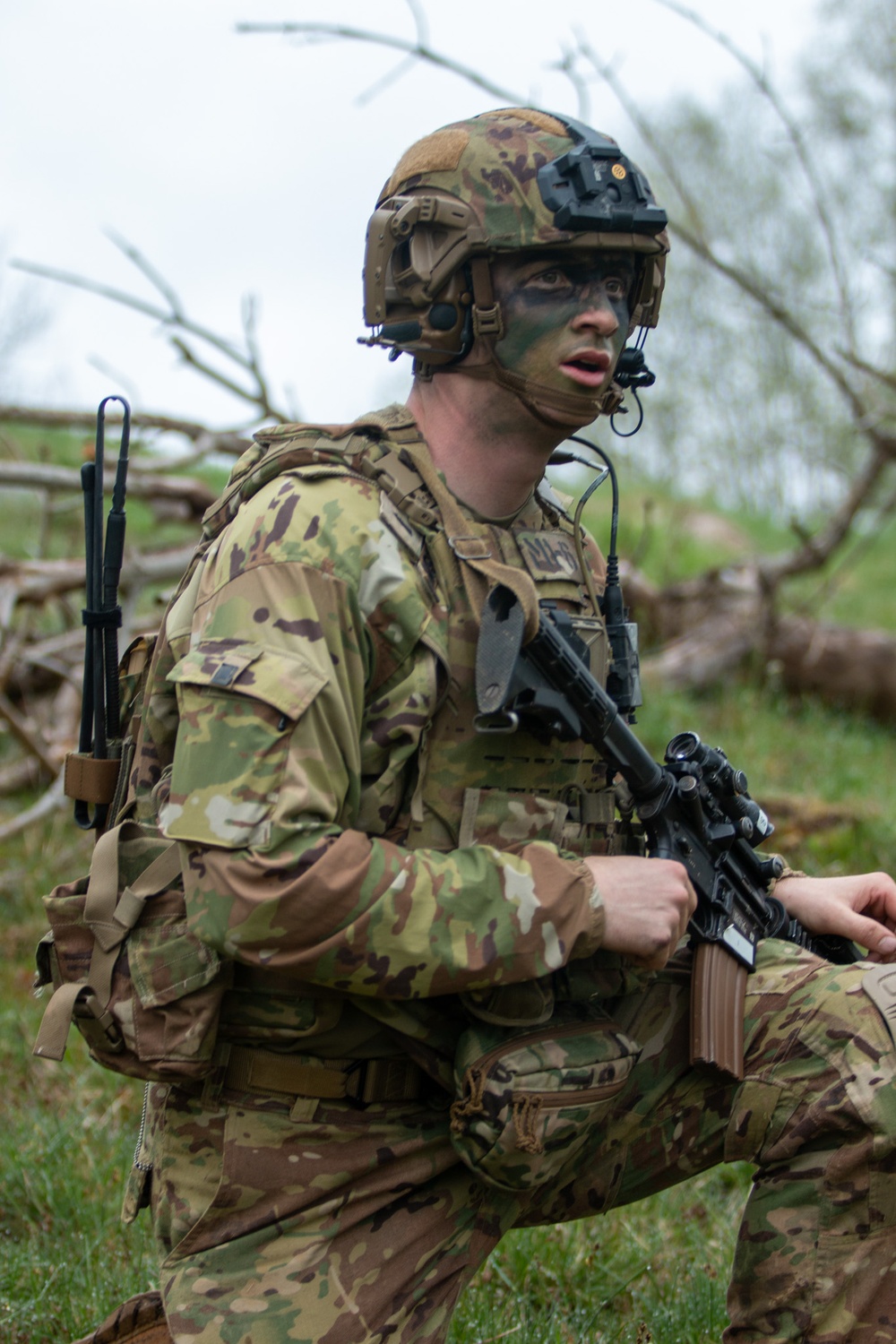 U.S.-Sweden Alliance in Action: 173rd Airborne Brigade Demonstrates Strategic Partnership in Joint Blank Live Fire Exercise