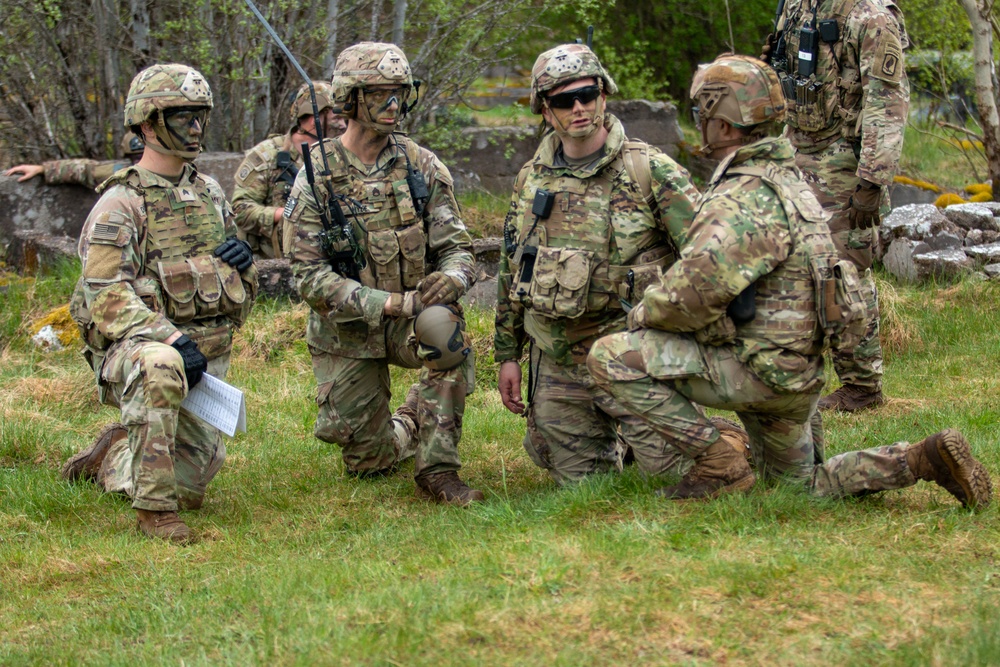 U.S.-Sweden Alliance in Action: 173rd Airborne Brigade Demonstrates Strategic Partnership in Joint Blank Live Fire Exercise