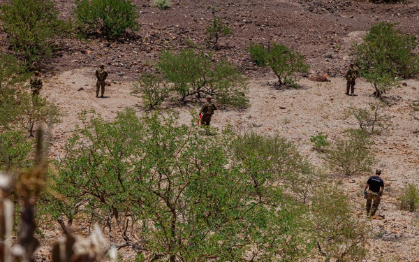 TF Paxton hosts Joint Light Leaders Course