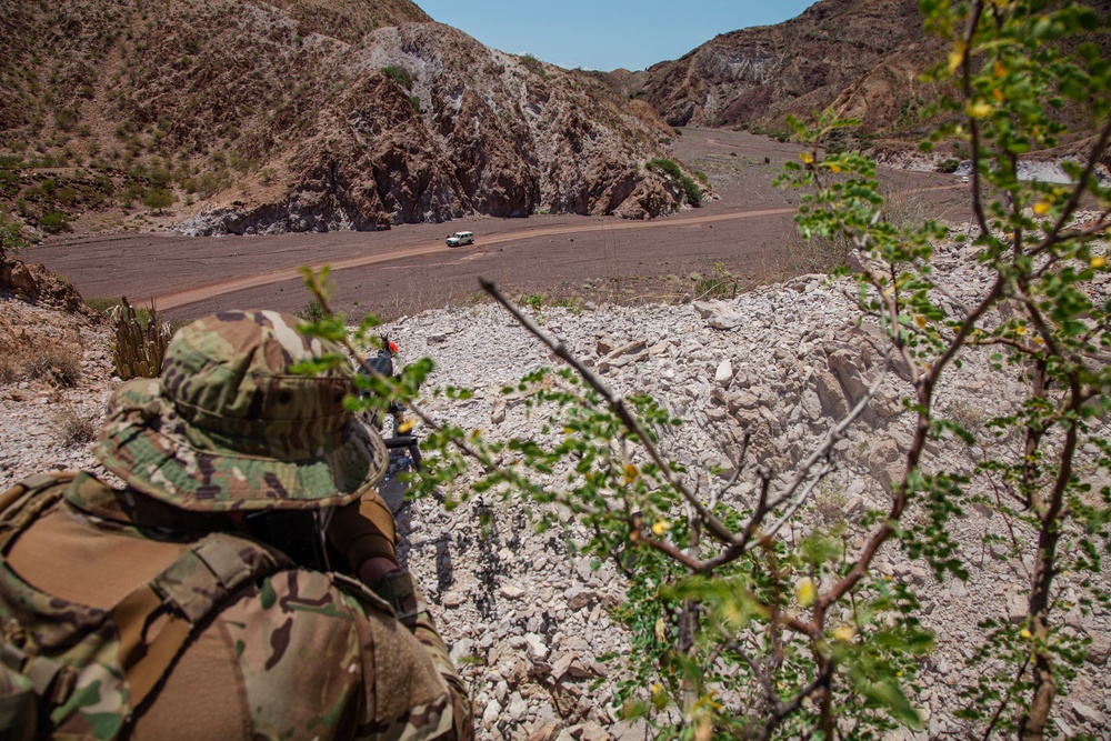 TF Paxton hosts Joint Light Leaders Course