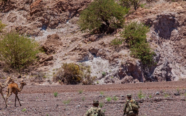 TF Paxton hosts Joint Light Leaders Course