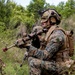 WSP ARG-24th MEU Conducts Simulated TRAP