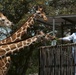 Fleet Week Miami 2024 at Zoo Miami