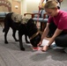 National Nurses Week: Facility Dog Therapy Painting &amp; Ice Cream Social