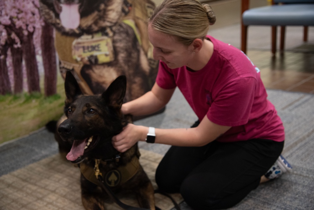 National Nurses Week: Facility Dog Therapy Painting &amp; Ice Cream Social