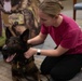 National Nurses Week: Facility Dog Therapy Painting &amp; Ice Cream Social