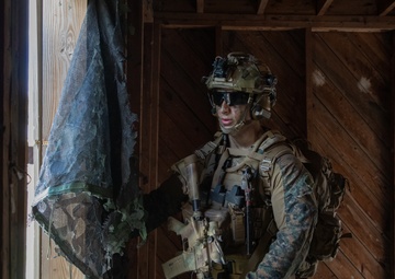 WSP ARG-24th MEU Conducts Amphibious Assault During COMPTUEX