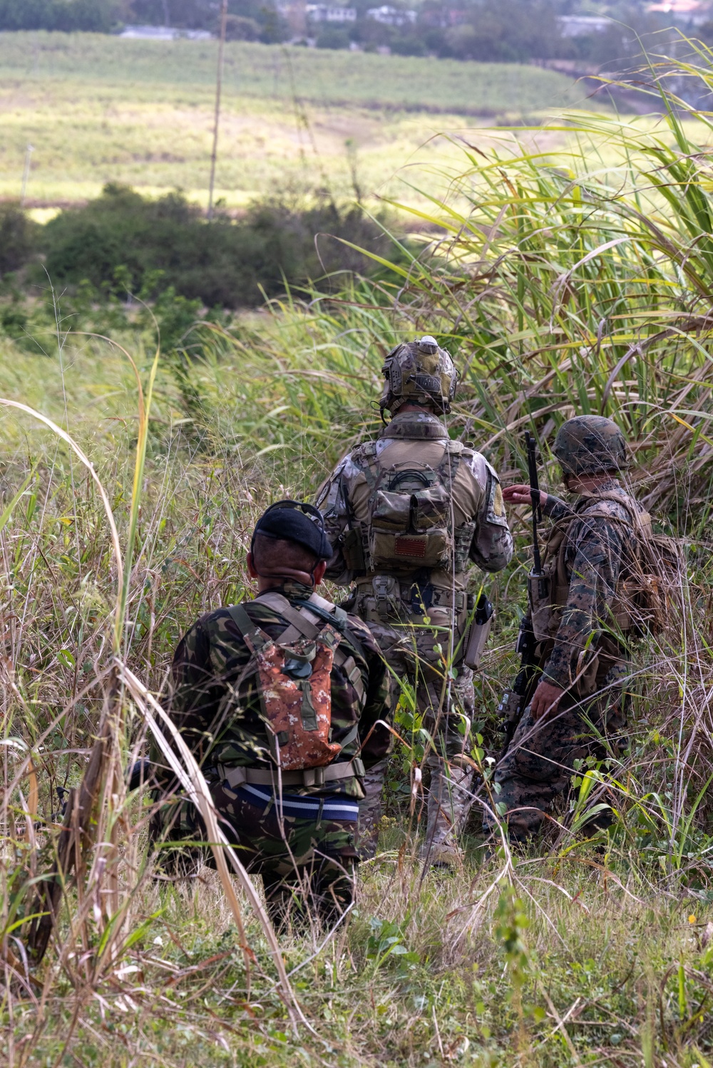 25th Marines Ignite Collaborative Interoperability with International Partners During TRADEWINDS 24