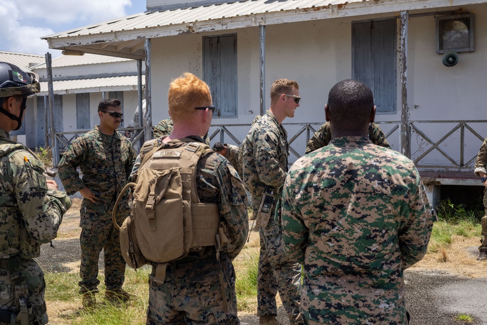 25th Marines Ignite Collaborative Interoperability with International Partners During TRADEWINDS 24