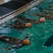 Echo Company Swim Qualification