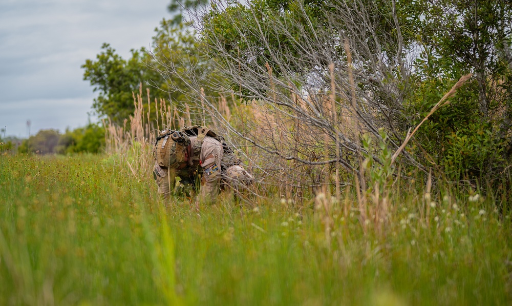 Swedish, USAF EOD forces strengthen NATO ties in combined exercise at Tyndall