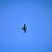 555th Fighter Squadron Supports Astral Knight 24