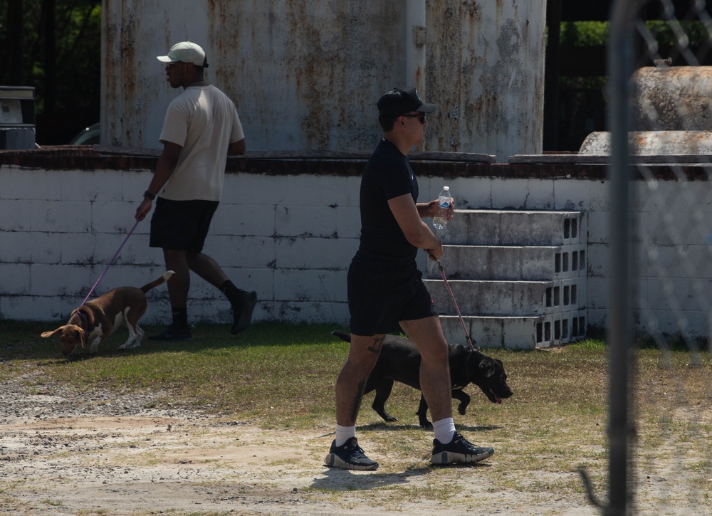 3rd Sustainment Brigade Plays with Pups