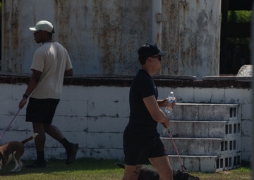 3rd Sustainment Brigade Plays with Pups