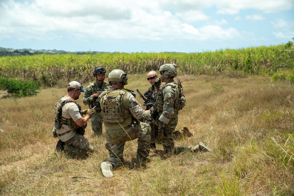 Members of the U.S. and Mexican marines, Antigua army, Suriname army, Belize army, Royal Bahamas Defence Force, and Jamaican army establish security during raid