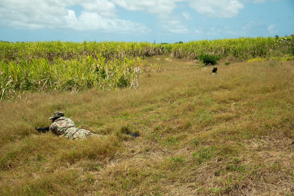 Members of the U.S. and Mexican marines, Antigua army, Suriname army, Belize army, Royal Bahamas Defence Force, and Jamaican army establish security during raid