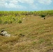 Members of the U.S. and Mexican marines, Antigua army, Suriname army, Belize army, Royal Bahamas Defence Force, and Jamaican army establish security during raid