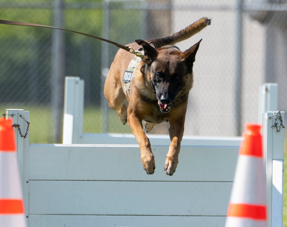 Wright-Patt Marks Police Week with K-9 Competition