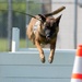 Wright-Patt Marks Police Week with K-9 Competition