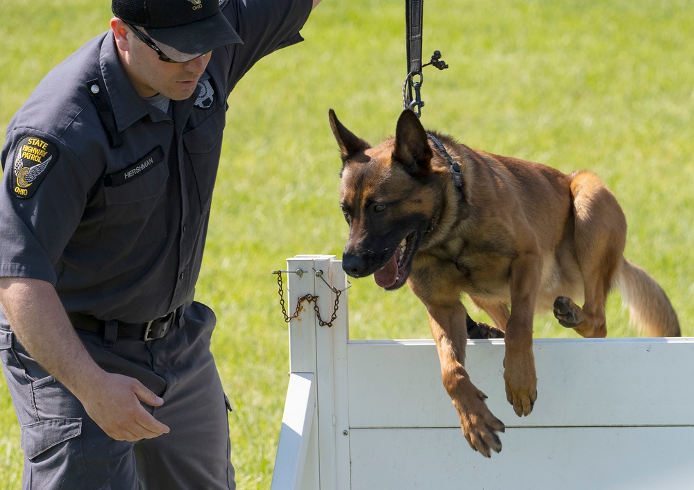 Wright-Patt Marks Police Week with K-9 Competition